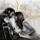 Cover for A Star Is Born by Lady Gaga and Bradley Cooper
